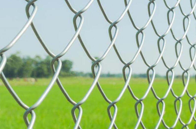 Vinyl Coated Chain Link Fence