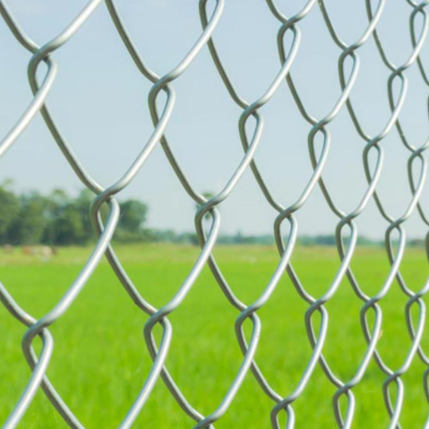 Why can Wire Mesh Fence be Used in Many Places?cid=3