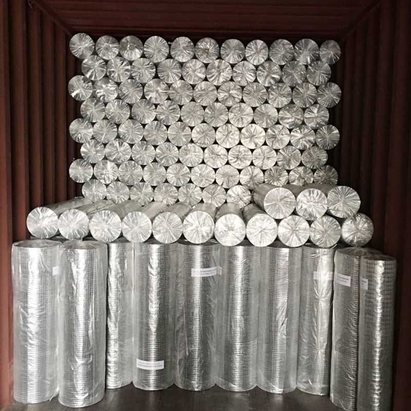 PVC Coated Wire Mesh Rolls