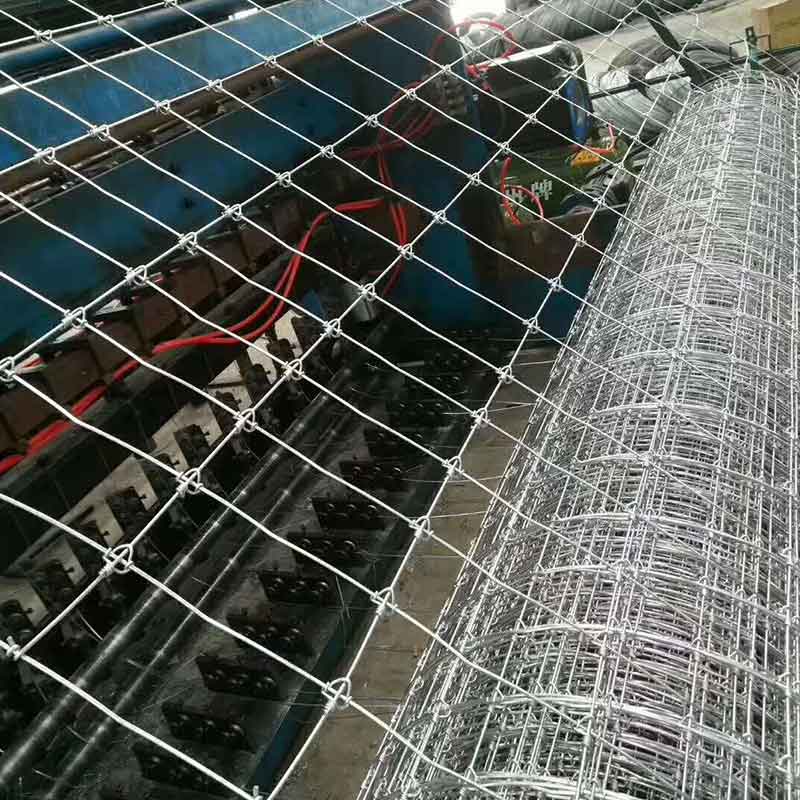 Filed Fence Mesh, Deer Mesh, Hinge Joint Mesh