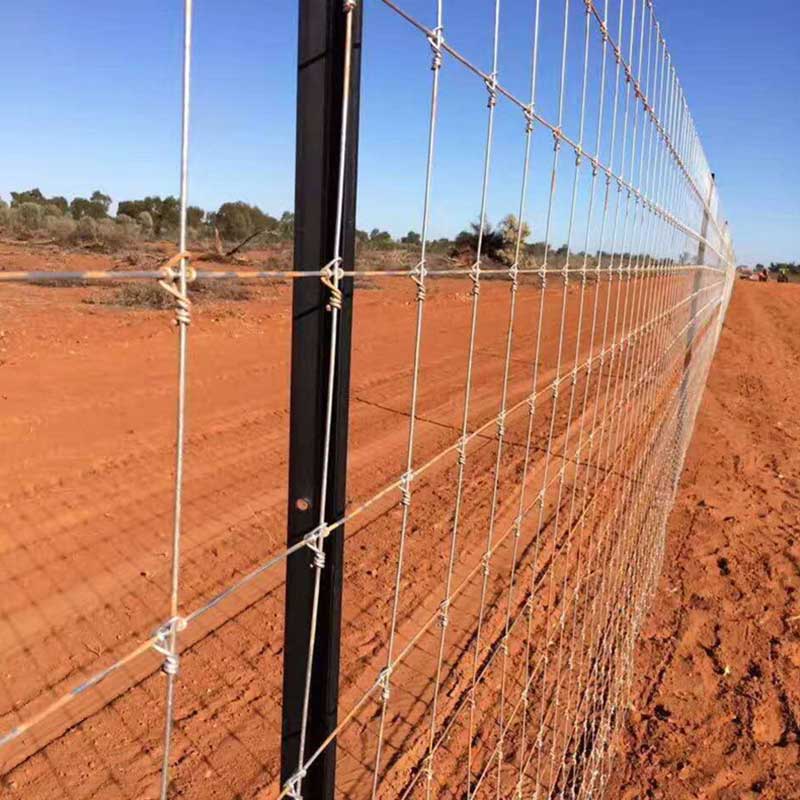 Filed Fence Mesh, Deer Mesh, Hinge Joint Mesh