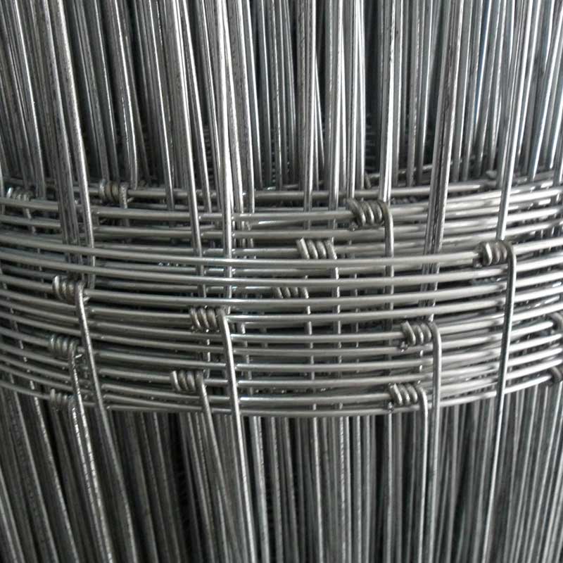 Filed Fence Mesh, Deer Mesh, Hinge Joint Mesh