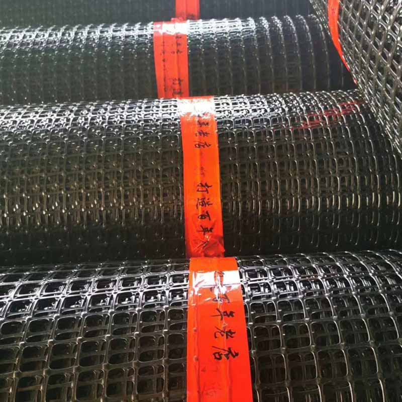 Geogrid