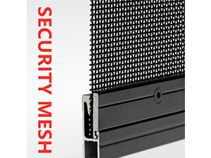 What Features Should the Security Mesh Have?